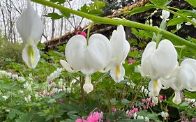 1795 Acorn Inn Bed And Breakfast